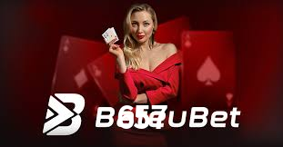 Programa VIP 657